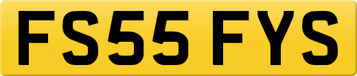 FS55FYS